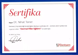 MandarinDent certificate 06